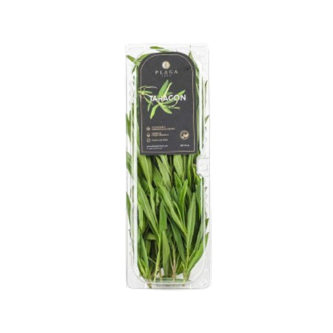 Fresh Taragon 50gr