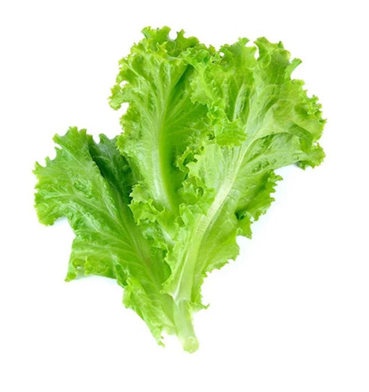 Lettuce 250gr
