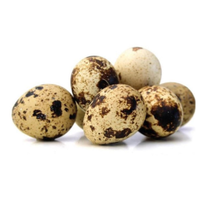 Quail Eggs 20s